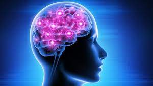 Karnataka launches brain health initiative to screen and treat mental health patients